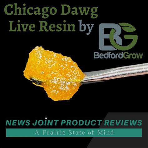 Chicago dawg strain. Things To Know About Chicago dawg strain. 